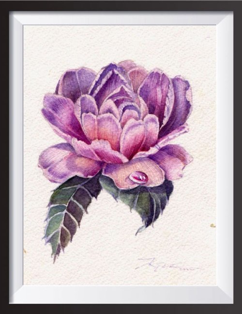 bovsunovska-kust_1_2076108766